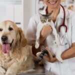 Veterinarians