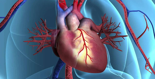 Your Heart Deserves the Best: A Complete Guide to Choosing Heart Failure Surgery