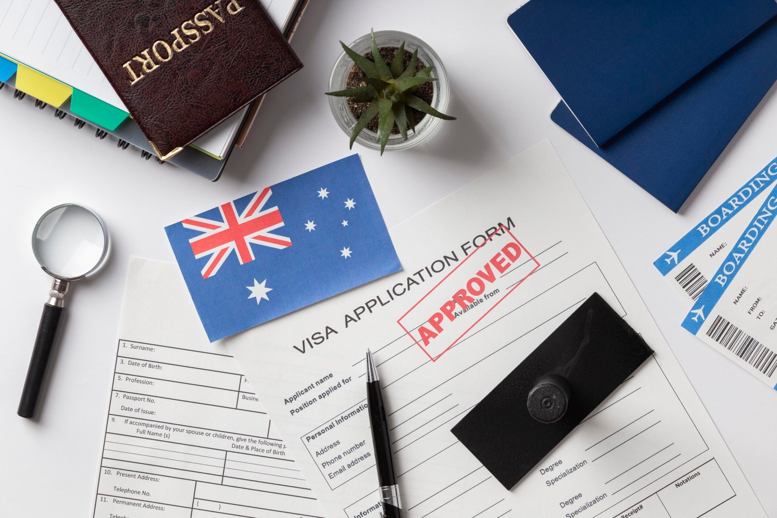 What Are the Common Reasons for Visa Skill Assessment Rejection?