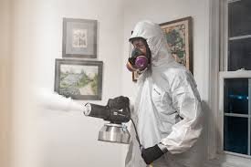 decomposition odor removal services