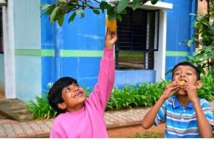 How Do You Choose the Right Organization to Sponsor a Child in India?