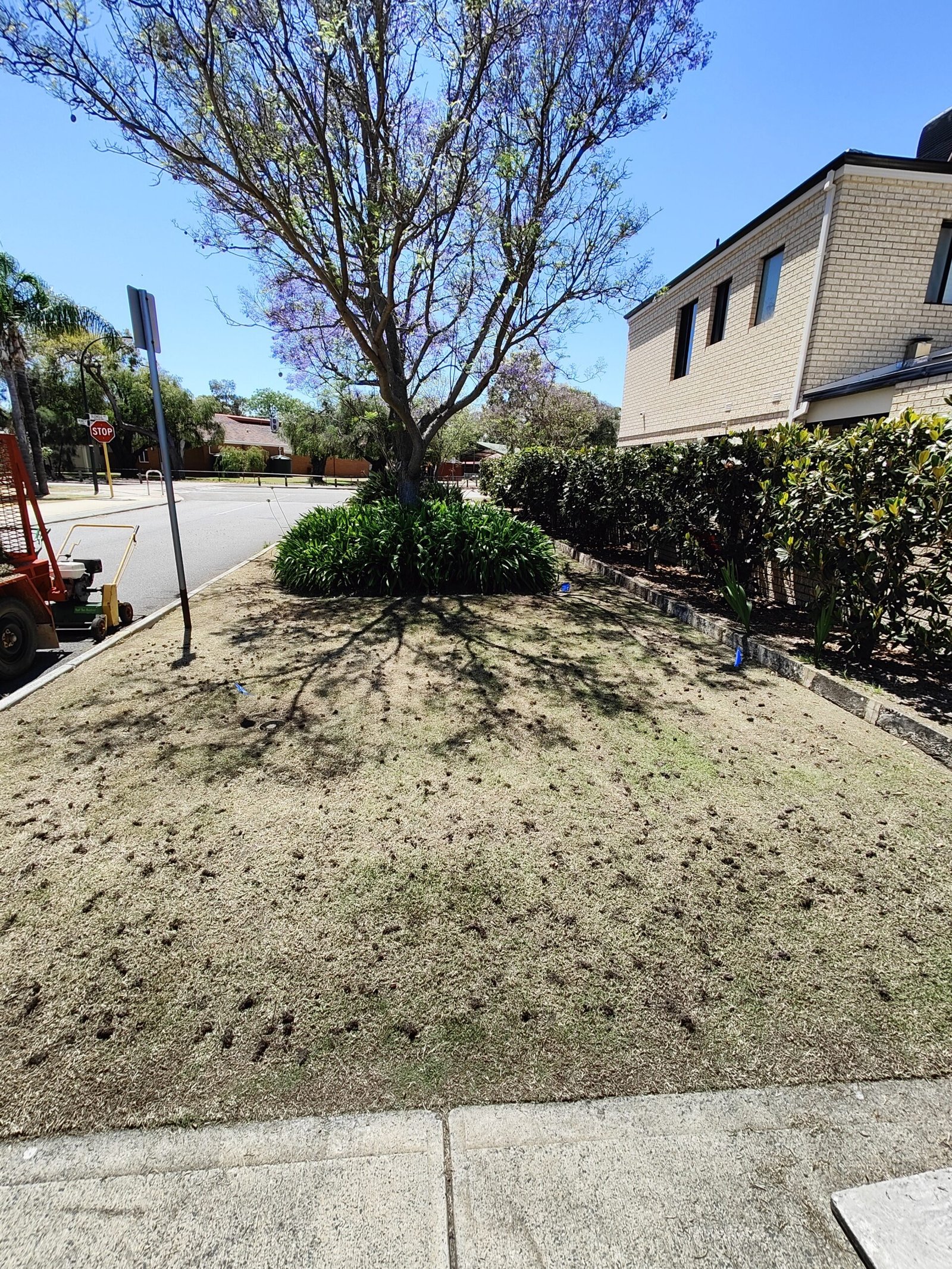 What Are the Best Times of Year for Lawn Vertimowing in Perth?