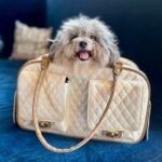 dog handbags