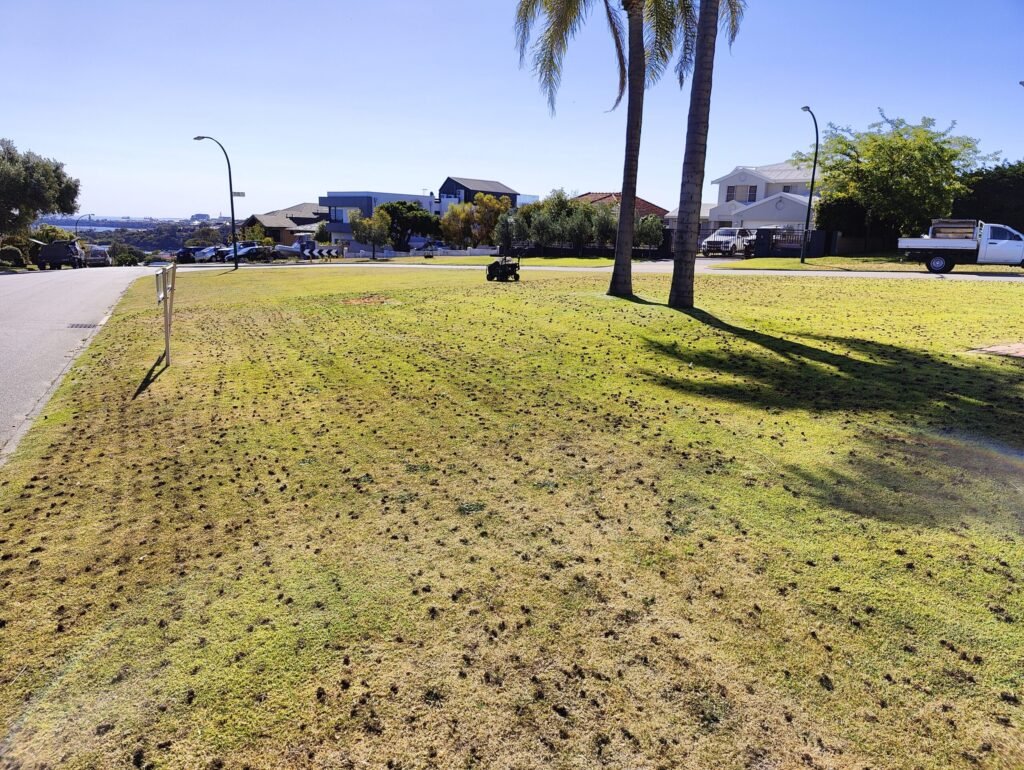 Lawn Aeration Services near Me