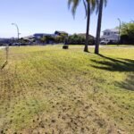 Lawn Aeration Services near Me
