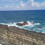 Andaman Iconic Nature