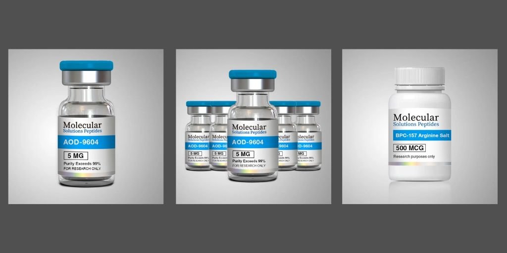 What Are Base Peptides? A Beginner’s Guide