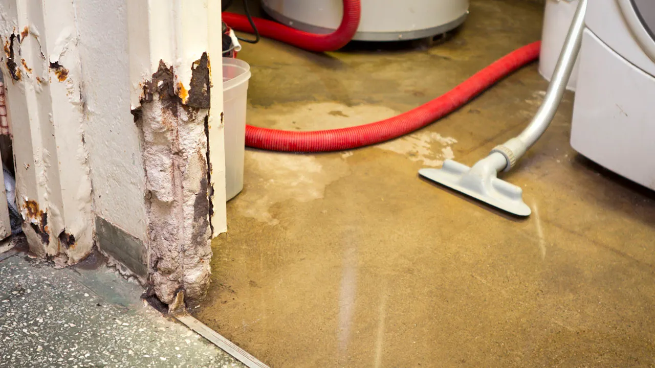 Why Choose a Professional Service for Commercial Flood Cleanup?