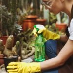 hemical Free Eco Friendly Cleaning Services (2)