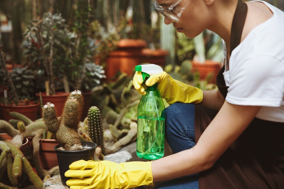 Chemical-Free Cleaning Services: Natural Cleaning You Can Trust