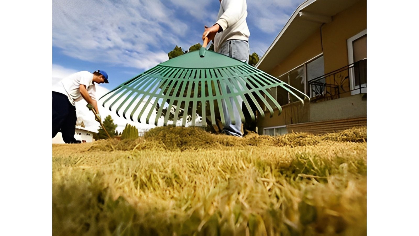 Common Garden Issues You Can Avoid with Professional Maintenance