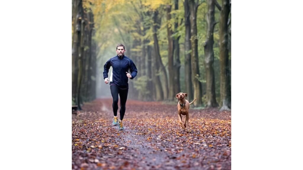 Dog Training in Oregon: Skills Every Pet Should Learn