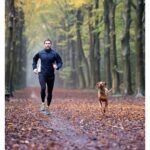 Dog Training in Oregon: Skills Every Pet Should Learn
