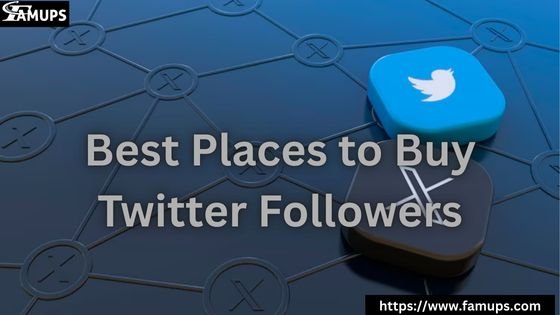 5 Best Places to Buy Twitter Followers for Quick and Safe Engagement