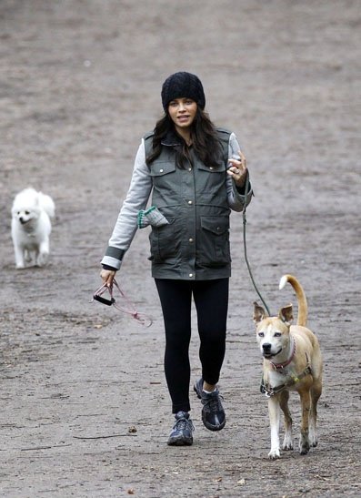 Dog Care Services West London | Complete Pet Guide