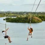 Jungle Hiking Experience