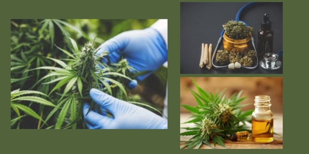 Is Mail Order Marijuana Safe? What Buyers Should Know About Local Delivery Services in Virginia Beach