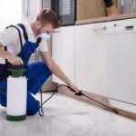 Pest Control Perth