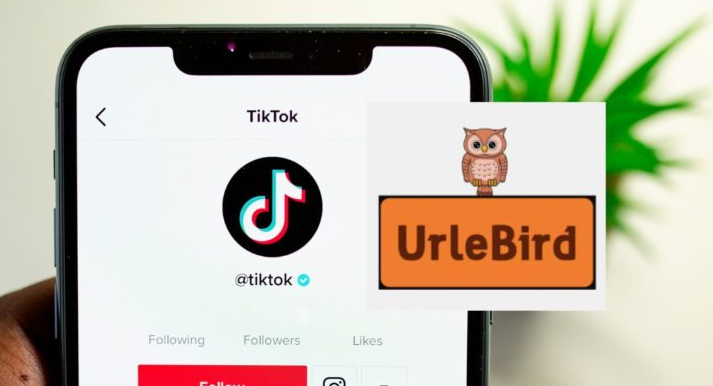 The Revolution of Short-Form Video Content