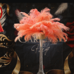 BuyOstrichFeathers Highlights Versatility and Ethical Sourcing of Feathers with New Product Focus