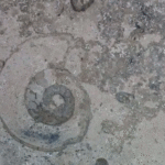 Exquisite Limestone Berkshire