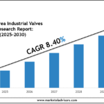 South Korea Industrial Valves Market 2030: Size, Growth Drivers & Competitive Landscape