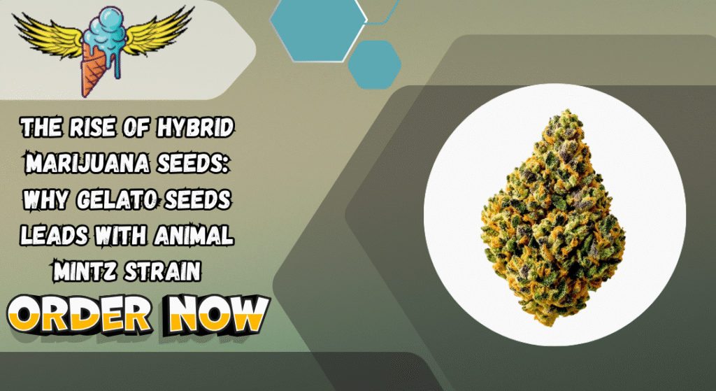 Hybrid Marijuana Seeds