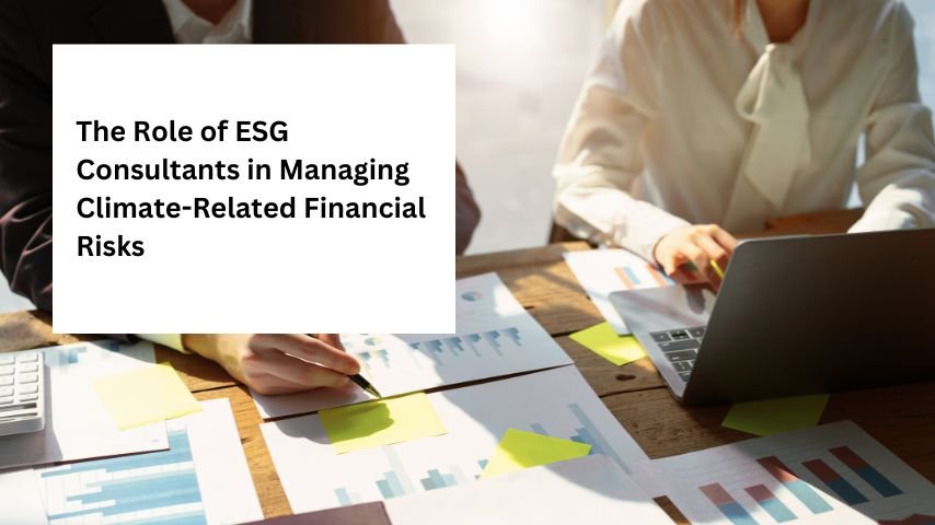 The Role of ESG Consultants in Managing Climate-Related Financial Risks