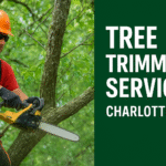 Charlotte Nc Tree Trimming