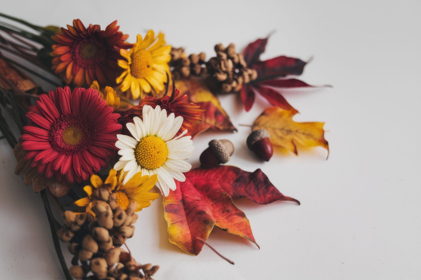 6 Seasonal Flowers That Are Perfect for Autumn