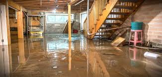 How Do Professionals Handle Sewer Backup Cleanup?