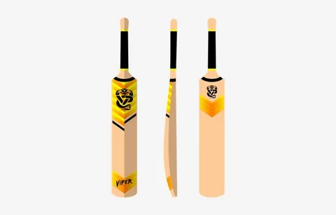 How to Design Custom Cricket Bat Stickers That Stand Out