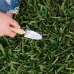 Factors Influencing the Lifespan of Your Artificial Lawn