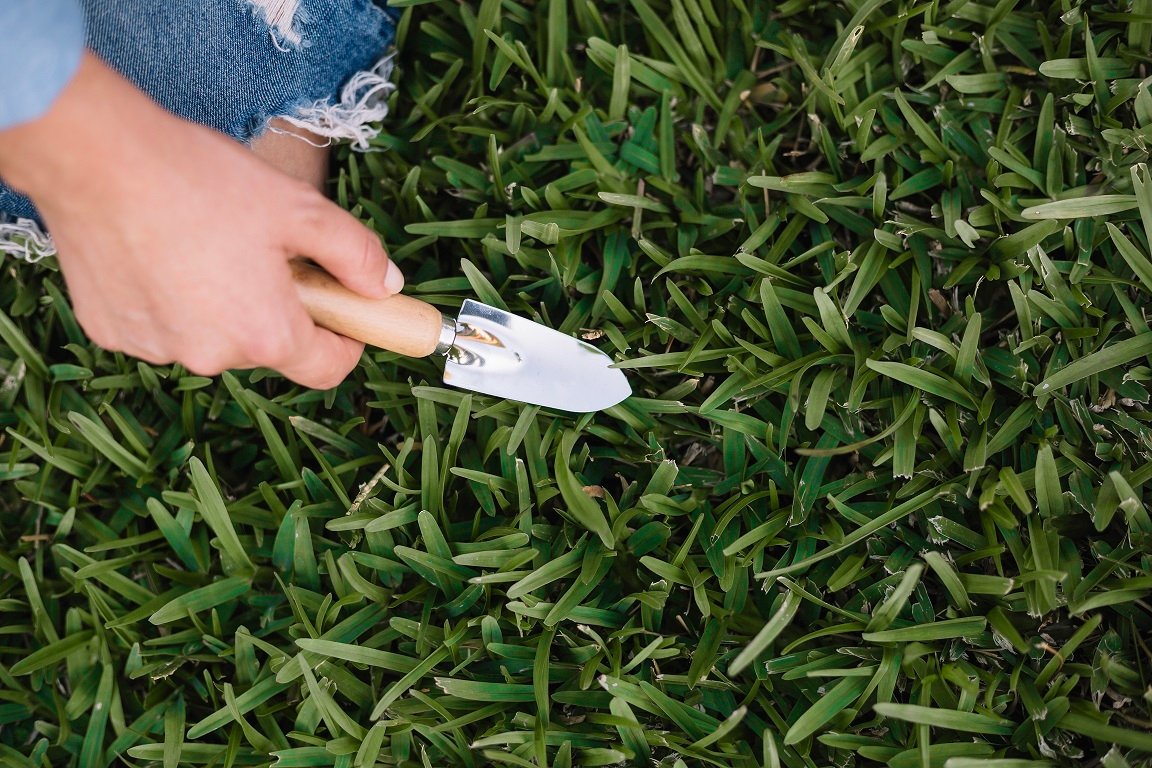 Factors Influencing the Lifespan of Your Artificial Lawn