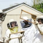Bee Protective Clothing and Bee Child Suit: Safety in Beekeeping