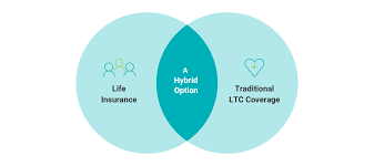 Double the Protection: Why Hybrid Long-Term Care Life Insurance Is the Smartest Move for Your Future