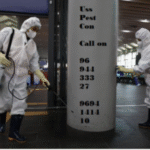 Best Pest Control in Kolkata