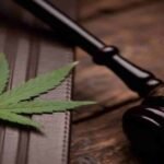 Why More Glaucoma Patients Are Choosing to Get a VA Medical Cannabis Card Online