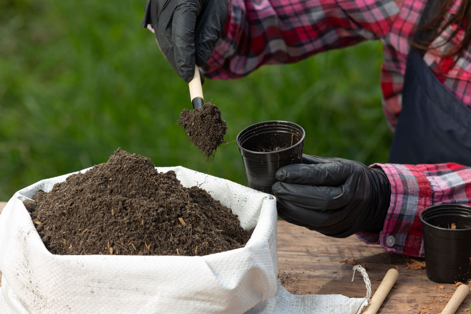 Common Misconceptions About Organic Fertilizer in Agriculture