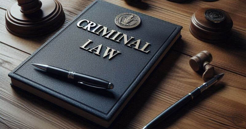 Criminal Lawyers In India
