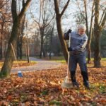 How to Prepare Your Lawn for Winter