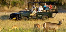 Best Tiger safari zone in Ranthambore
