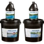 Is Your Pond Cleaned and Treated Properly?