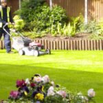 Lawn Care Service: Everything You Need to Know for a Healthy, Beautiful Lawn