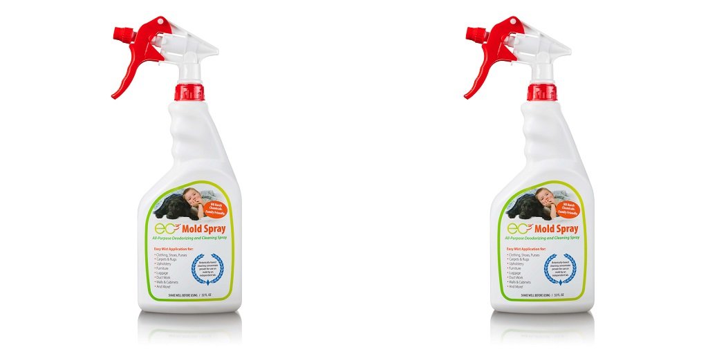 What to Look for in a Safe and Effective Mold Spray