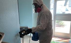 Safe and Eco-Friendly Odor Removal Service Today