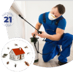 Kolkata Pest Control Service