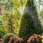 Pest Control Jaipur