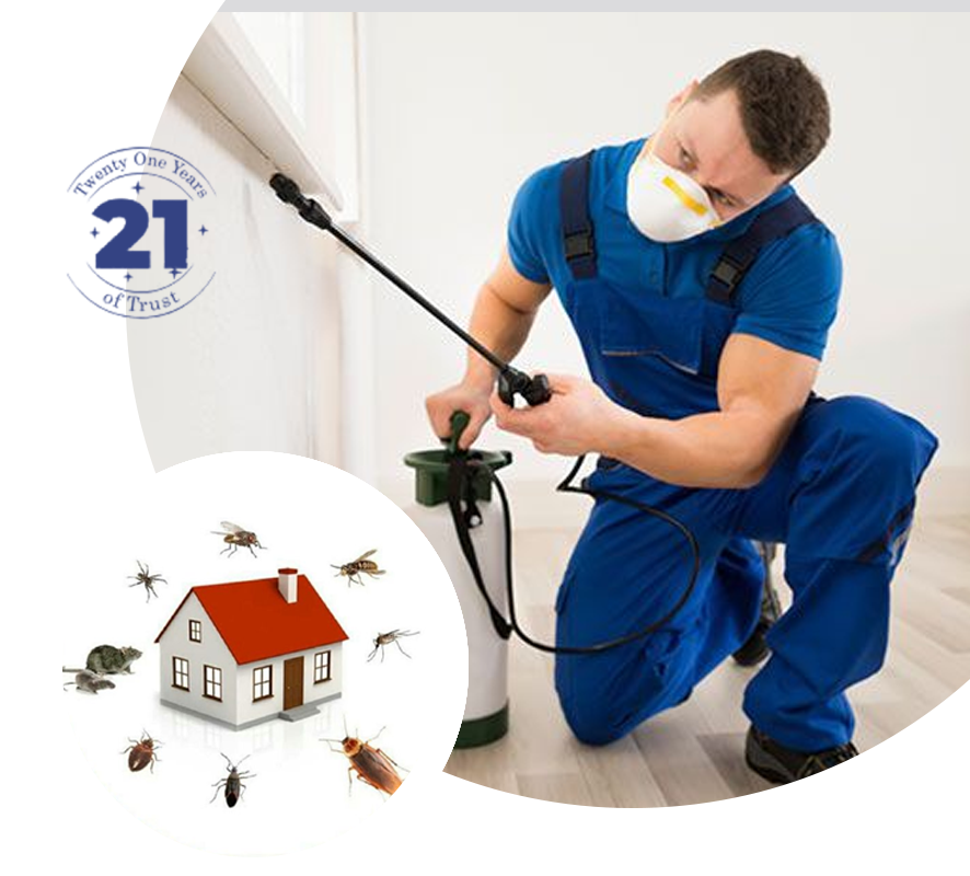 Kolkata Pest Control Service