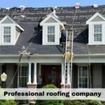 Why a Professional Roof Inspection Is Always Worth It